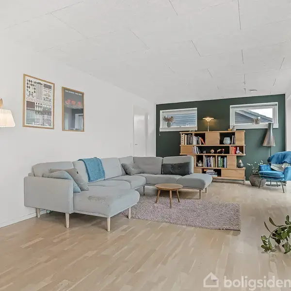 Gråt sofahjørne arrangeret i stue med lyse trægulve og hvidmalede vægge. Bogreol og blå lænestol står ved grøn accentvæg. Væglamper og planter tilføjer hygge.