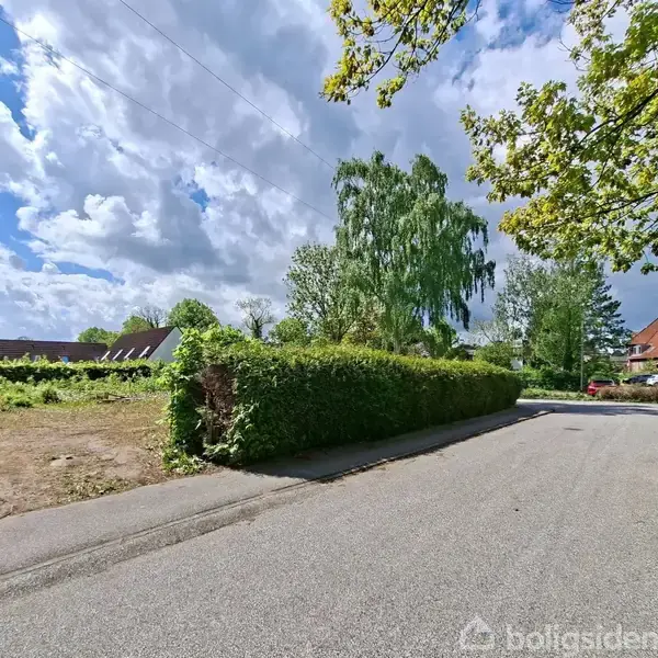 Vej løber mellem to hække af grønne buske, med en åben himmel dækket af spredte skyer. Træer og huse ses i baggrunden, i et roligt kvarter.