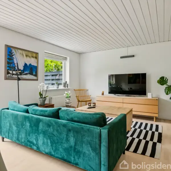 En grøn sofa står i en moderne stue med et tv på en træskænk. På væggen hænger et maleri, og planter samt en sort-hvid stribet tæppe skaber en hyggelig atmosfære.