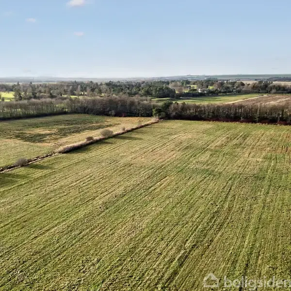 Græsmark ligger stille i landskab med træer i baggrunden og spredte marker under blå himmel. Horizon strækker sig langt, hvilket giver en følelse af åbent og fredfyldt land.