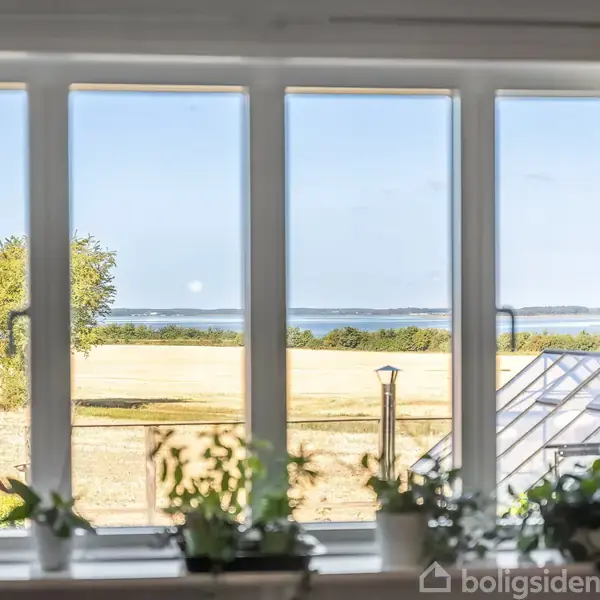 Et vindue med grønne planter på karmen. Udsigten viser en mark, træer og hav i det fjerne under en klar blå himmel.