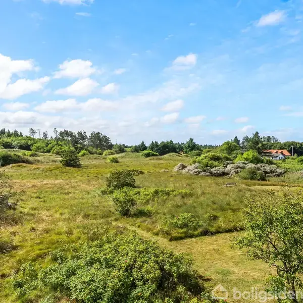 Et lavt, blåmalet sommerhus med stråtag står midt i en frodig, grøn natur med langt græs. Husets baggrund domineres af tæt bevokset skov under en klar, blå himmel.