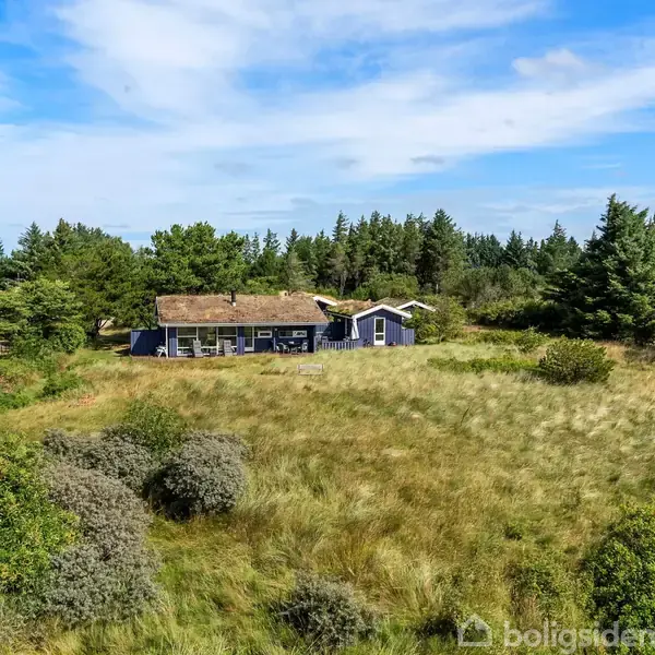 Et enkelt hus med gråt tag ligger midt i en frodig natur, omgivet af højt græs og buske. Baggrunden består af en tæt bevokset skov mod en blå himmel.