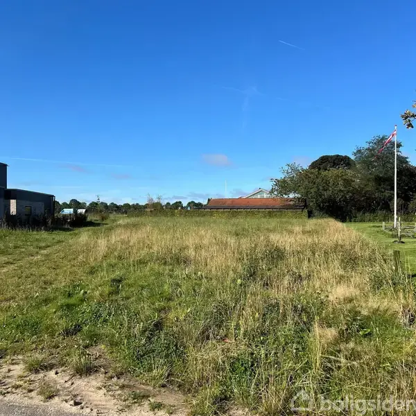 Et åbent græsareal med høje strå står stille under en klar blå himmel. Til højre ses et flag på en stang, omgivet af buske og træer.