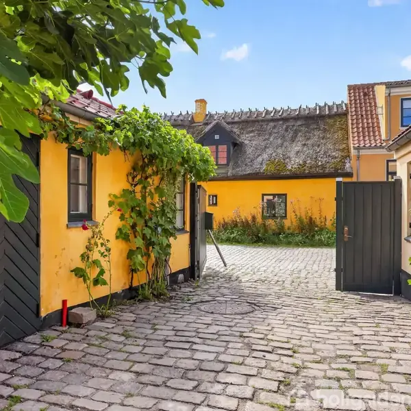 Terrasse med flisebelagt gulv. En rattan-loungesofa står ved et hegn med grønne planter. Solsenge med turkise puder i forgrunden. Baggrund består af et gulmalet hus med skråt tag.