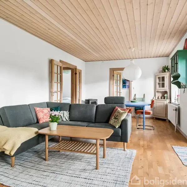 Grå sofa med tæppe og puder står på tæppe, der er placeret på trægulv. Stuebord med plante foran sofa. Spisestue og køkken ses i baggrunden. Lys træloft og lyse vægge.