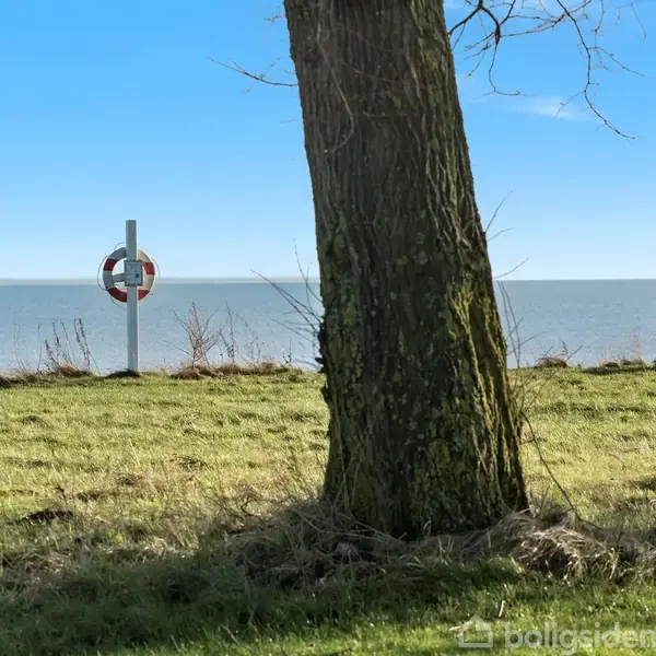 En træstamme står i forgrunden, mens to personer sidder på en bænk ved vandet. En redningskrans hænger på en stander ved kysten under en klar blå himmel.