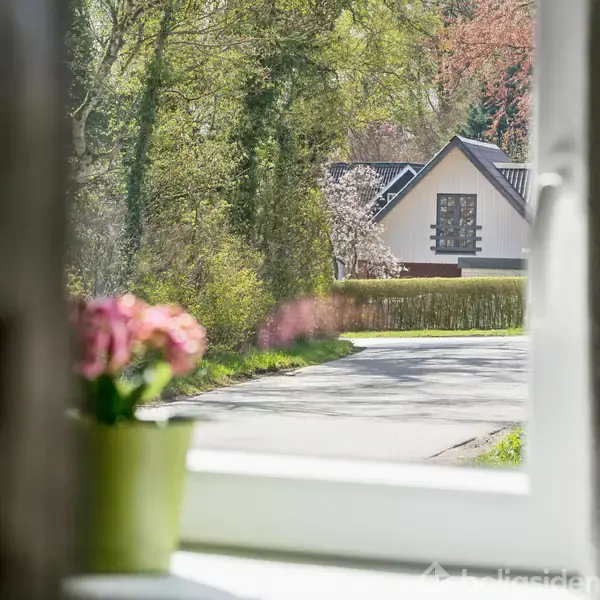 En blomsterpotte med lyserøde blomster står i vindueskarmen. Udenfor ses en vej med et hvidt hus omkranset af grønne træer i et solrigt landskab.