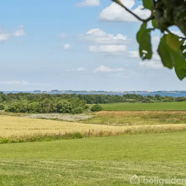 En grøn mark strækker sig over en bakket landskabet, mens et træ med grønne blade hænger i forgrunden. I baggrunden ses en skov og en havudsigt under en blå himmel.