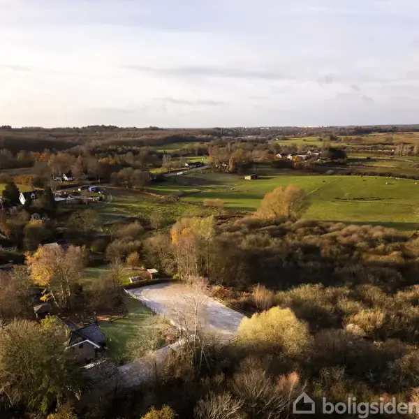 Landskab med marker og bevoksning set oppefra. Træer og buske i efterårsfarver. Spredte huse og veje i det bakkede terræn. Sollys giver varme nuancer. Ingen tekst synlig.