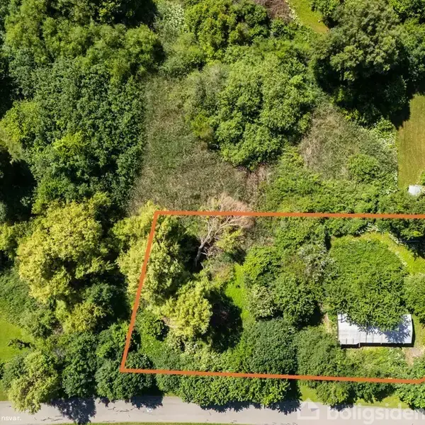 Grund indrammet af trekanter markeret med orange linjer omringet af tæt beplantning og grønne træer. En vej løber langs den nederste kant. Intet tekst findes i billedet.