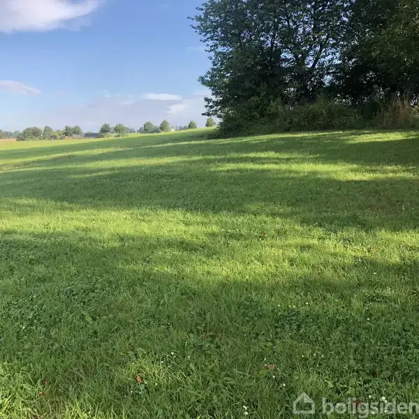 En grøn græsmark spredt ud i sollys, omgivet af træer i baggrunden, under en blå himmel med få skyer.
