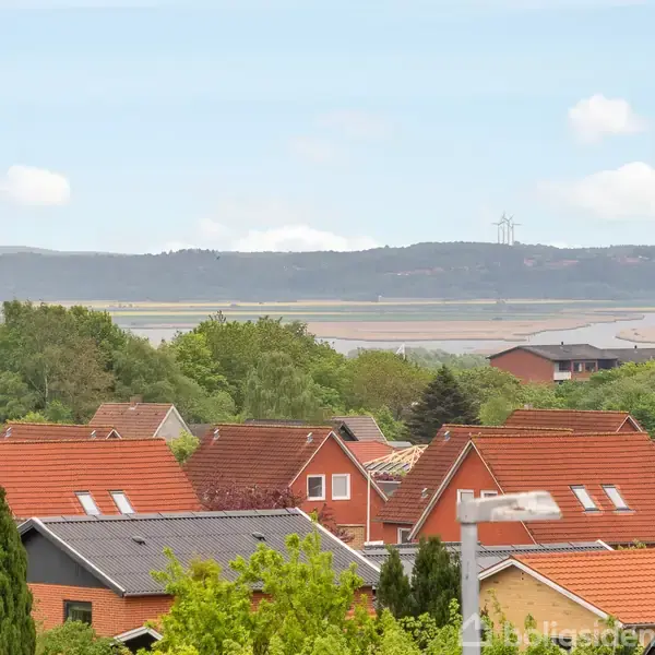 Røde hustage står tæt i et kvarter omgivet af frodige træer. I baggrunden ses en flod og en bakke med blå himmel og spredte skyer.