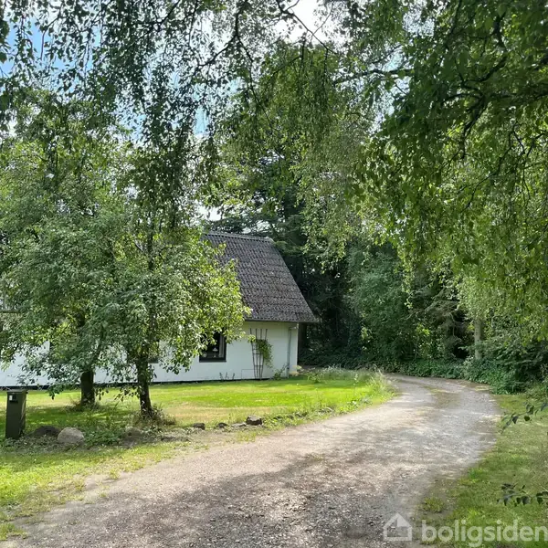 Hus med hvid facade og sort tag står roligt blandt grønne træer. En grusvej fører rundt om huset i en frodig, skovlignende have.