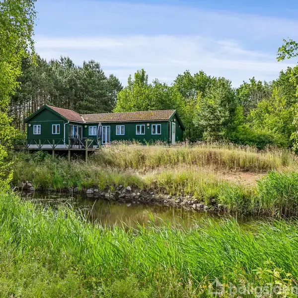 Et grønmalet hus står på en høj, omgivet af tæt bevoksning og skov. Foran huset er en lille dam med græs og buskads omkring.