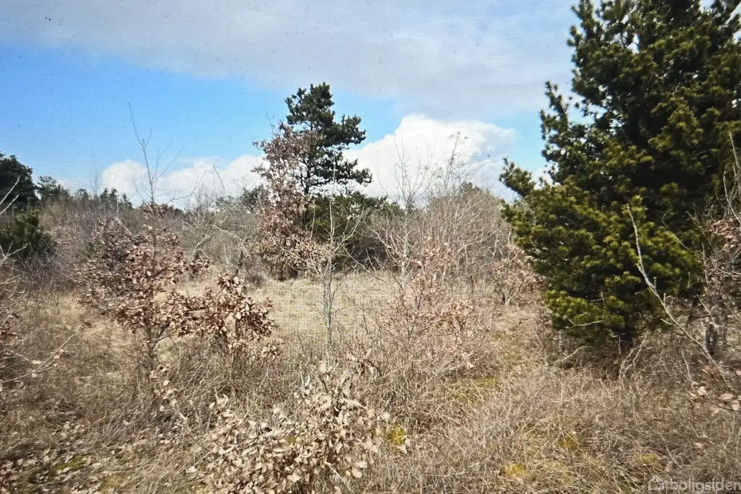 Fritidsgrund på Gyvelvej 41, 6900 Skjern