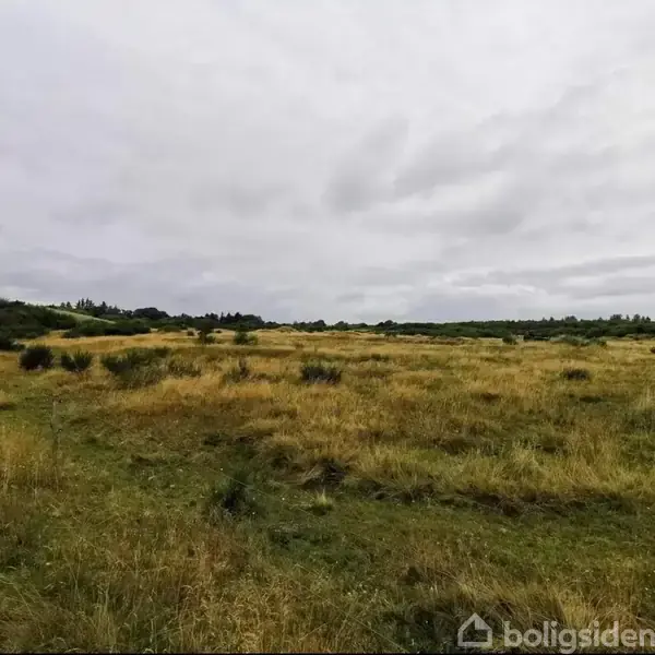 Et bredt, åbent landskab med gulbrunt græs strækker sig mod horisonten. Spredt vegetation bryder det flade terræn, og skyer dækker den grå himmel over området.