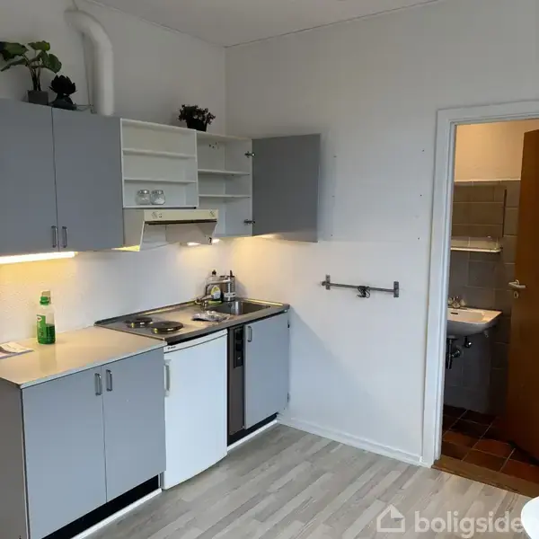 Køkken med grå skabe, komfur og vask. Dør til højre fører til badeværelse med vask. Grøn flaske og papir ligger på bordpladen. Skabe er delvist åbne.