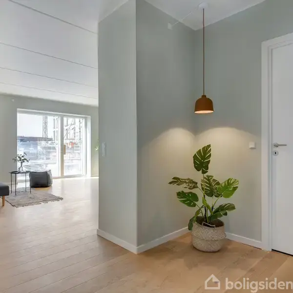 En potteplante står i hjørnet med en hængelampe over sig. I baggrunden ses et lyst rum med trægulv og store vinduer. En stol og et bord står ved vinduet.
