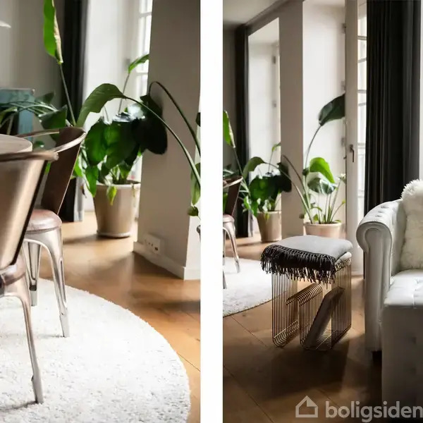 Stolene står ved et spisebord på et lyst, rundt tæppe i en stue. Ved siden af står en hvid sofa med en plaid, omgivet af store grønne planter.