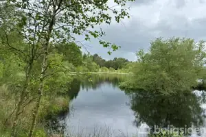Landejendom på Nygårdsmark 6, 8800 Viborg