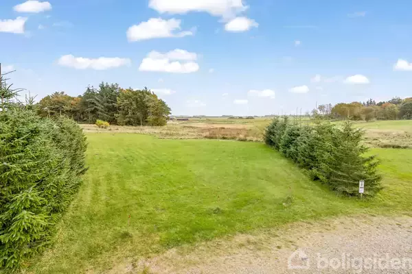 Grønt græsareal omgivet af nåletræer, strækker sig ud mod en åben mark under en blå himmel med få skyer.