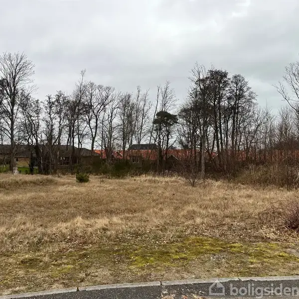 Græsareal med tørret vegetation strækker sig mod en række træer i baggrunden. Overskyet himmel danner en grå atmosfære, mens bygninger kan skimtes bag træerne.