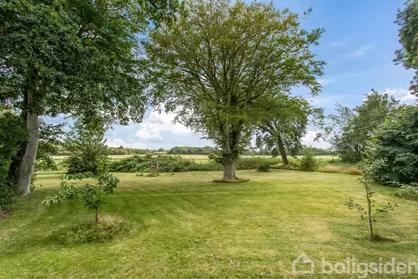 Et stort, frodigt træ står centralt på en velplejet græsplæne. Omkring træet ses flere mindre planter, omgivet af åbne marker og en blå himmel i baggrunden.