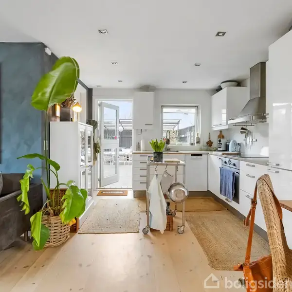 Køkken og stue i et åbent rum; køkken med hvide skabe og moderne apparater, stue med grå sofa og store grønne planter; skandinavisk indretning og lyse trægulve.