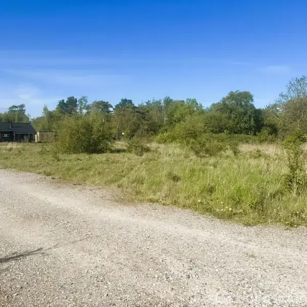 Grusvej snor sig gennem grønne marker med buske; i baggrunden står et sort hus omringet af træer under en klar blå himmel.
