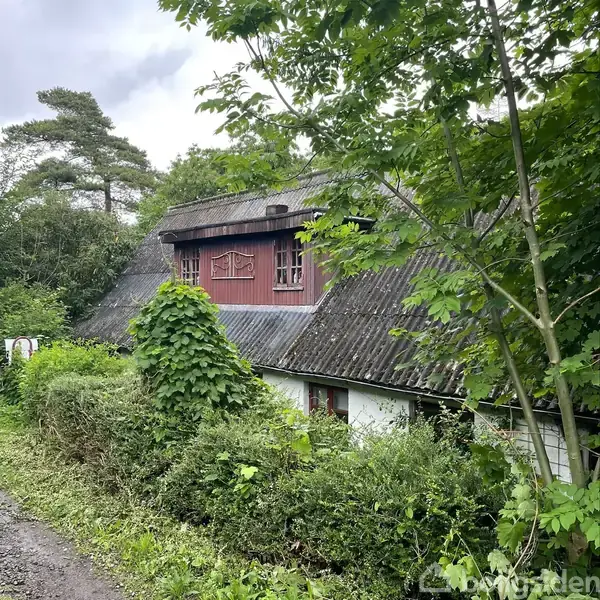 Stråtækt hus med en rød træfacade, omkranset af frodig vegetation og store træer. Mørkt tag og små vinduer tydelige i det grønne landskab.
