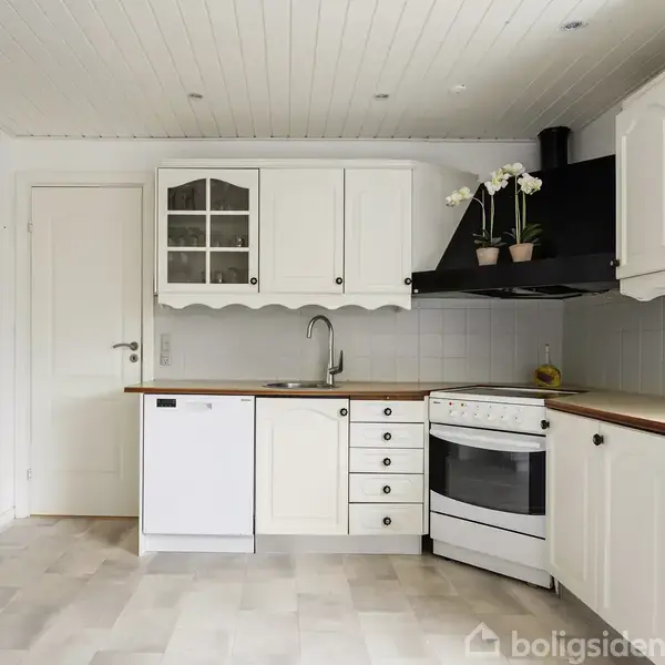 Hvide køkkenskabe og hvidevarer med en træbordplade. Et fritstående gaskomfur er placeret ved siden af en opvaskemaskine. Over komfuret er der en emhætte med planter på.