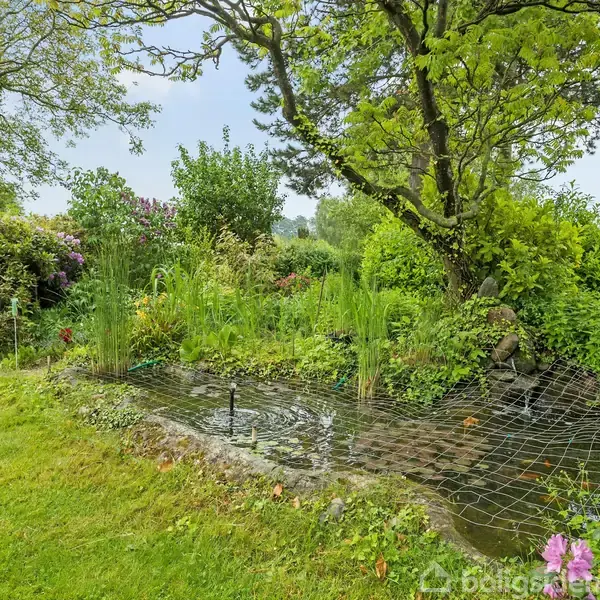 En dam med fiskegarn overfladen er omgivet af frodig beplantning, stor, grøn træbevoksning, buske og forskellige blomstrende planter, der skaber en frodig haveatmosfære.