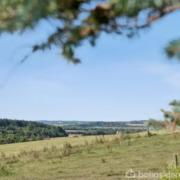 Landskab viser en åben mark med spredte buske i forgrunden, omgivet af bakker og skov i baggrunden, under en klar blå himmel. En grangren hænger øverst i billedet.
