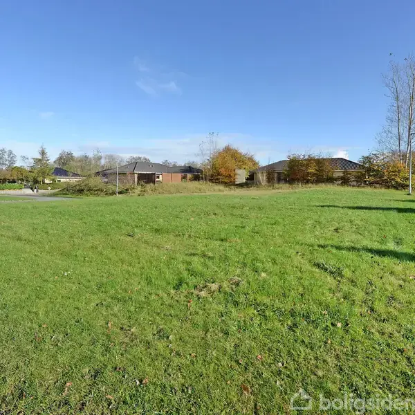 Græsplæne i en åben park omgivet af træer og buske under en klar blå himmel, med en vej og en lygtepæl til venstre.