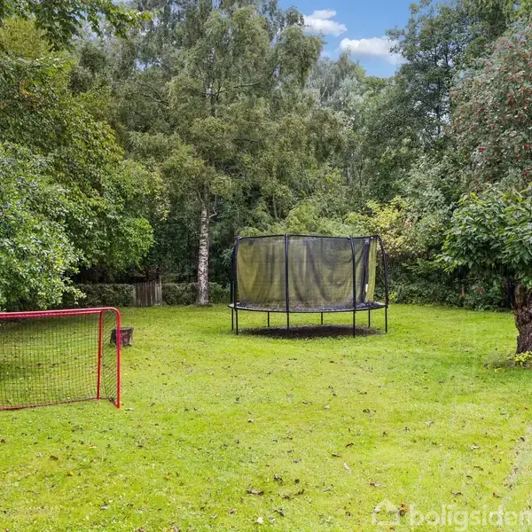 En trampolin står stille på en grøn græsplæne omgivet af tætte træer. Til venstre er der et rødt hockeymål.
