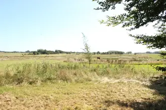 Landejendom på Fragtrupvej 2, Fandrup, 9640 Farsø