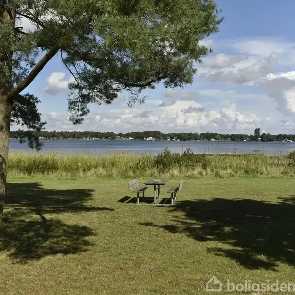 Et træ kaster skygge på en græsplæne, hvor et picnicbord står stille. I baggrunden ligger en sø med en skovbevokset bred under en blå himmel med skyer.