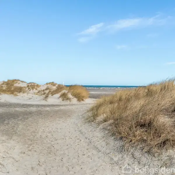 Sandklitter med græs står stille langs en sandet sti, der fører mod havet i horisonten under en klar blå himmel. Ingen tekst er til stede.
