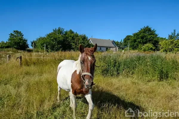 Landejendom på Voldbjerg 11, 4400 Kalundborg