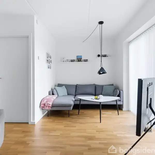 En grå sofa står i stuen ved siden af et rundt sofabord med en skål. En pendel hænger ned fra loftet. Et TV ses i forgrunden. En række planter er placeret på en kommode ved siden af vinduet. Flere små billeder hænger på væggen.