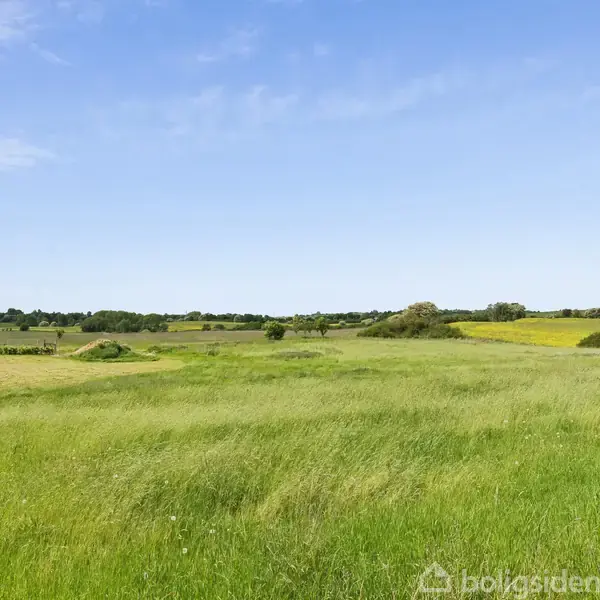 Græsmark strækker sig under en blå himmel, omgivet af lave buske og træer i det fjerne, hvilket skaber en følelse af åben og fredelig natur.