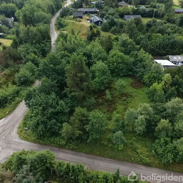 En frodig, grøn skovklædt grund ligger ved en grusvej i et sommerhusområde med flere huse omkring. Træerne er tætte og omgiver en uformet haveflade.