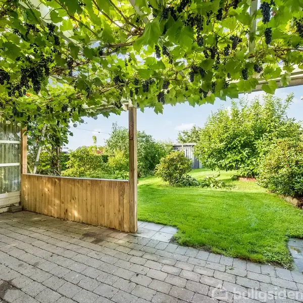 Terrasse med flisebelægning og træoverdækning dækket af vinranker. Haven udenfor har grøn græsplæne omgivet af buske og træer. En glasvæg ses til venstre.