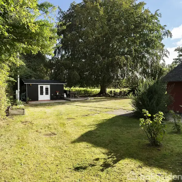 Sort skur med hvid dør står i solrig have omgivet af græsplæne og store træer. En terrasse med havemøbler er placeret til venstre for skuret.