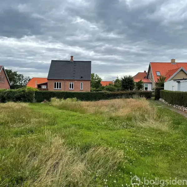 Græsplæne med vildtvoksende græs foran et hus med rødt tag og flere huse i baggrunden under en overskyet himmel.