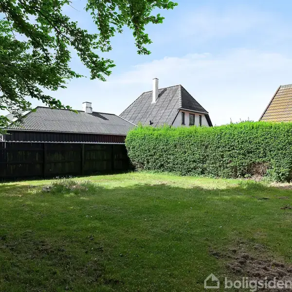 Græsplæne omkranset af høje buske, ligger roligt i en solrig have. I baggrunden står huse med sorte og røde tage mod en blå himmel.