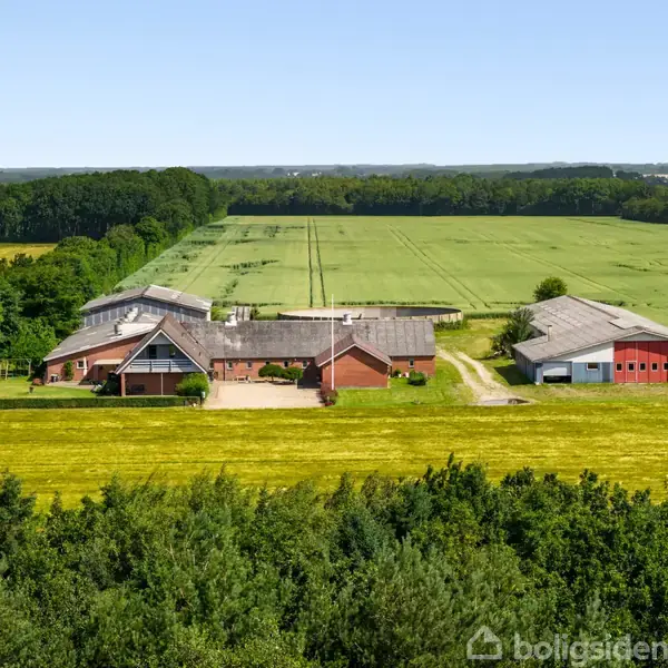 Gårdsbygninger med røde tage; omgivet af frodige, grønne marker; en vindmølle i baggrunden. Skov i forgrunden.