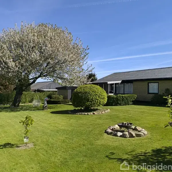Hus med gult murværk og sort tag står ved siden af en stor blomstrende træ i en velplejet have med trimmet græsplæne og buske, himlen er klar og blå.