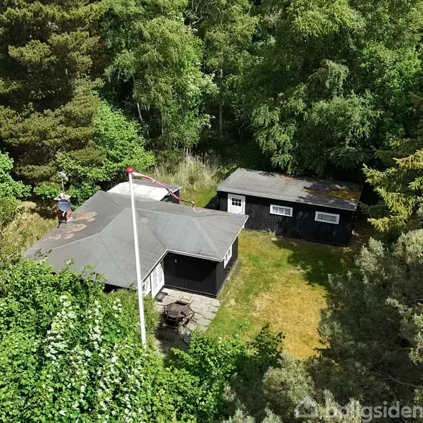 Et hus omgivet af tætte grønne træer. En person står på taget af huset, der har en flagstang foran. Ved siden af ses et mindre skur i en skovklædt have.